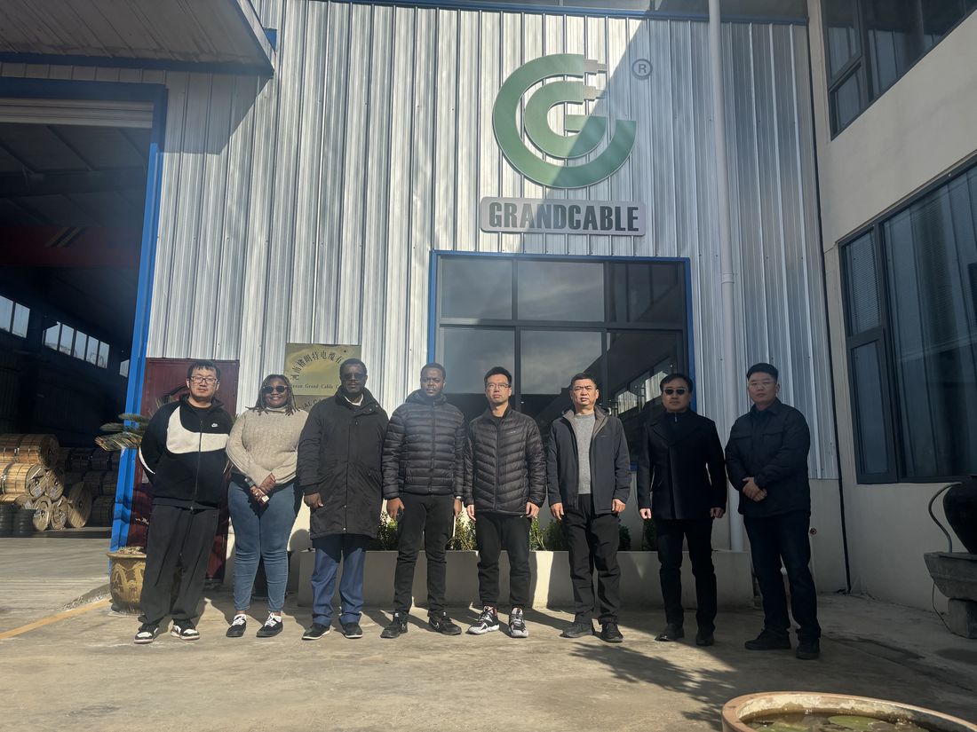 Délégation client africain en visite d'usine